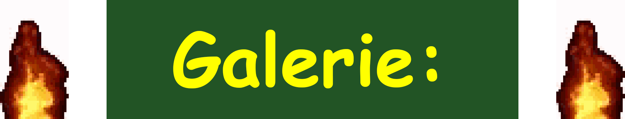 Galerie-Header-1
