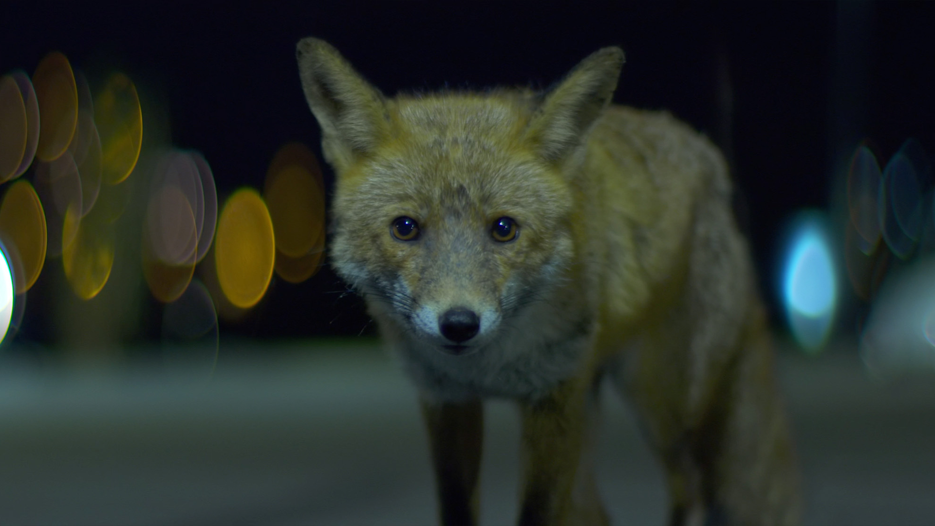 Still_3